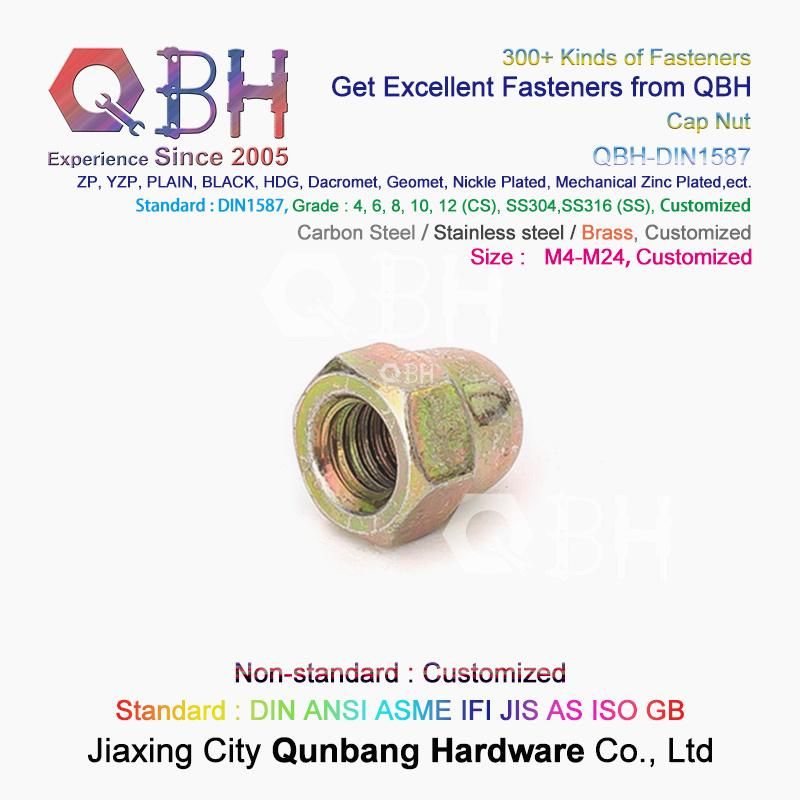 Qbh Carbon Steel Stainless Steel Nylon CS Ss DIN1587 DIN986 Hex Protection Domed Cover Cap Acorn Lock Nut Locknut Automobile Car Auto Spare Parts