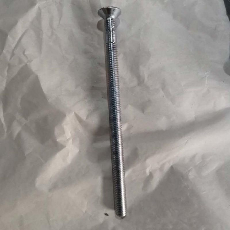 OEM Customized Galvanized Steel Screw for Machinery