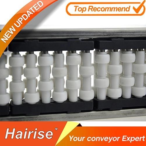 Hairise Straight Roller Guide for Bottle Industry Wtih ISO& CE &FDA Certificate