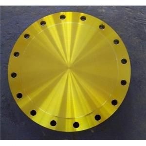 Stainless Steel Blind Flange for Marine Machine