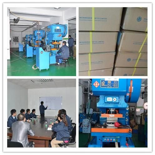 Metal Round Stamping Product in Dongguan China (HS-MT-0025)