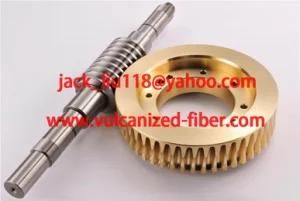 Worm and Worm Gear/Worm Wheel Reducer Parts/Steel Worm Shaft/ Worm and Worm Wheel