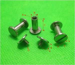 China Supplier Manufacture Screw Manufacturer Books Screw