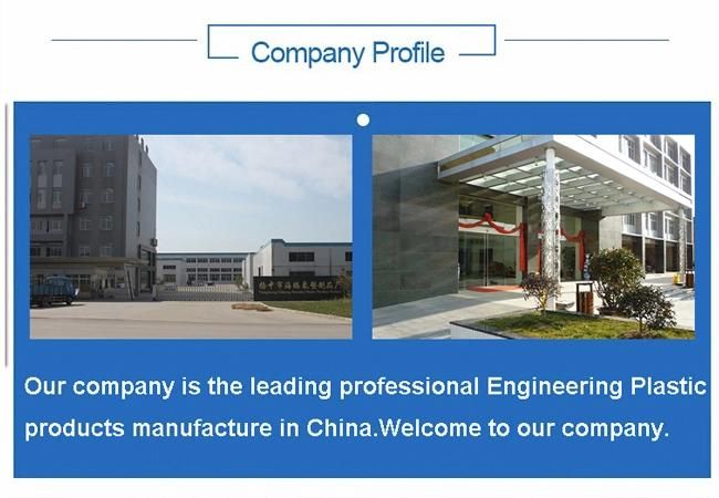 Customized PTFE Cover