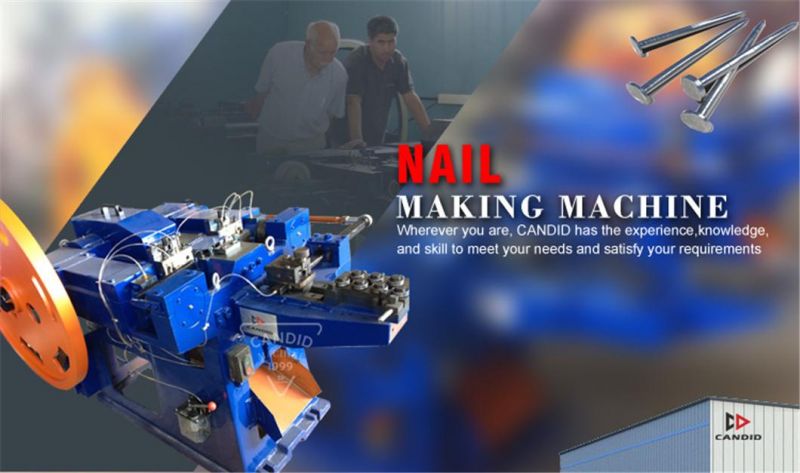 CNC Automatic Steel Nail Making Machine for Wire Drawing Machine with Free Spare Parts and Lt Series Nail Making Machine Price with Nail Polishing Fuction