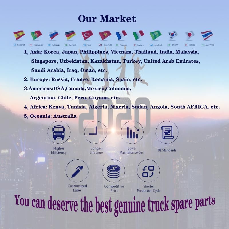 Sinotruk HOWO Truck Shift Lever C03032-6f