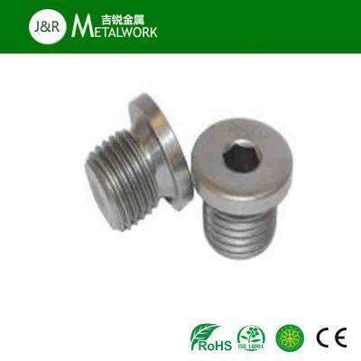 Brass Stainless Steel SS304 Hex Socket Plug Screw (DIN908)