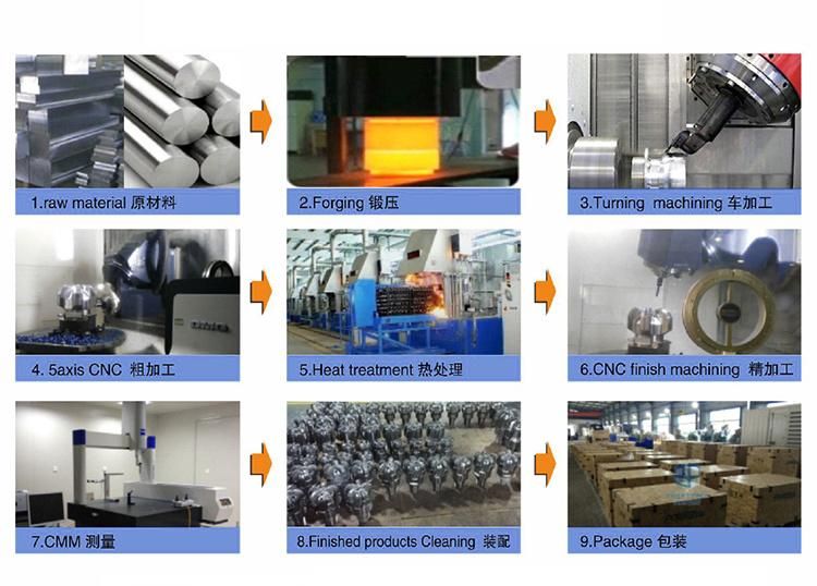 Small/Big Size Customized Turning/Milling Transmission Industry Spur Worm Gear Made by Steel/Brass/Aluminum