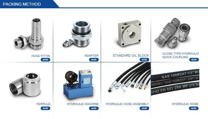 Hose Crimping Machine pH-Cr-B120c for Hose and Fitting