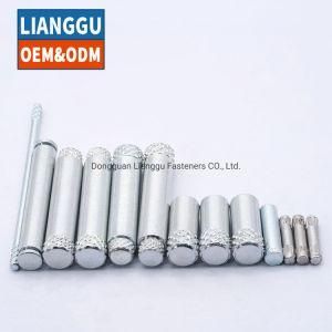 Linear Shaft High Precision Stainless Steel Hollow Shaft Stainless Steel Knurled Shaft