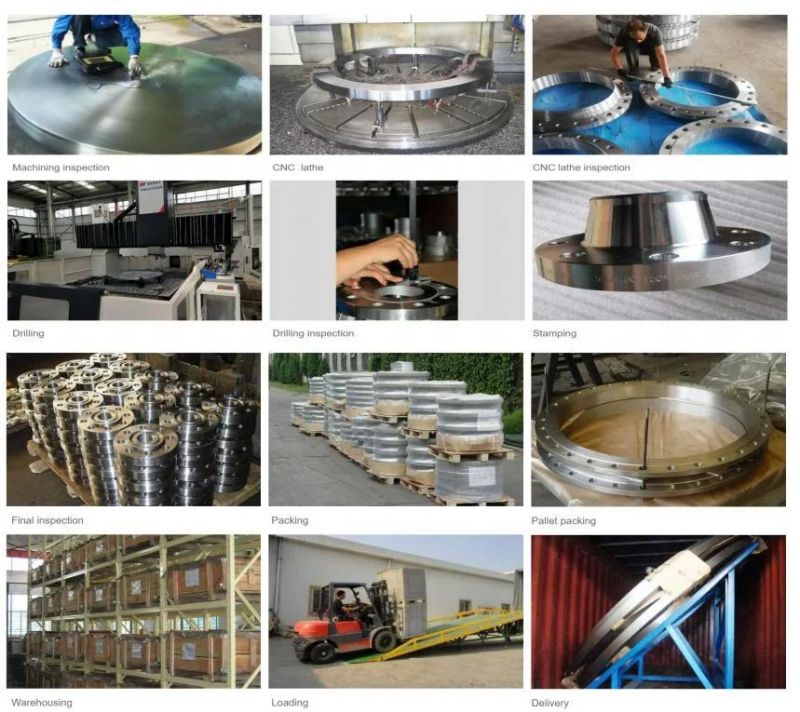Chinese Manufacturer of Steel Ring Forging for Feed Machines