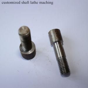 OEM High Precision CNC Lathe Stainless Steel Nut and Bolt