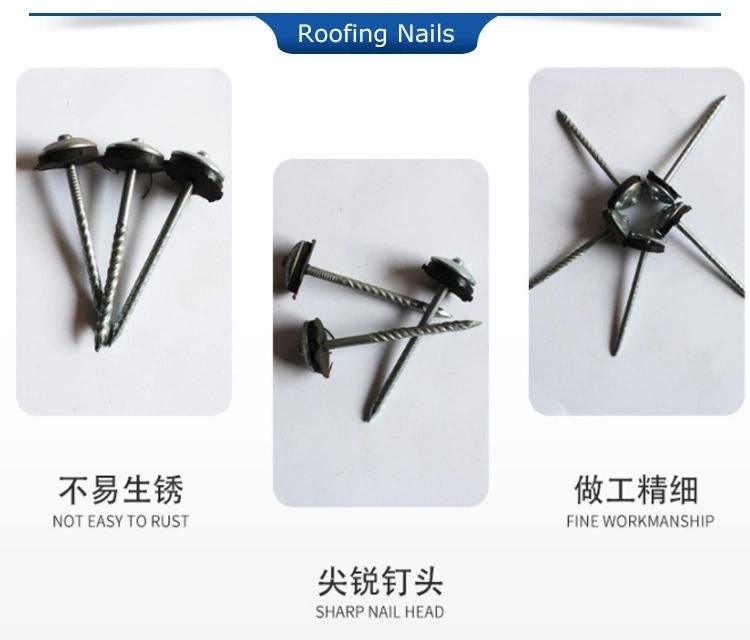 Professional Nail Machine to Make Galvanized Roofing Nail Roofing Nail Cap Making Machine
