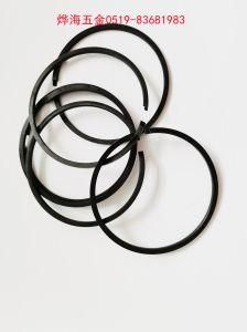 Piston Ring