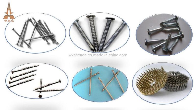 Common Nail Concrete Nail Blind Rivet Nail Duplex Nail Making Machine Manufacturer