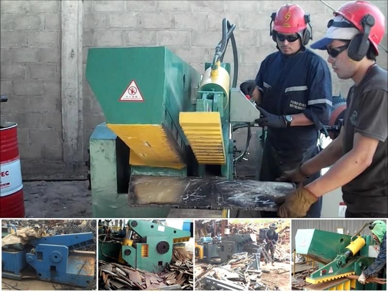 TF Alligator Automatic Continuous Cutting Scrap Steel Shear