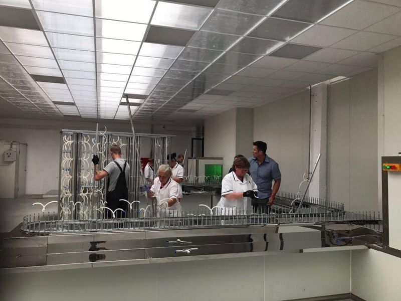 Cicel Cosmetic Bottle Cap Metalizing UV Painting Line/UV Curing Line