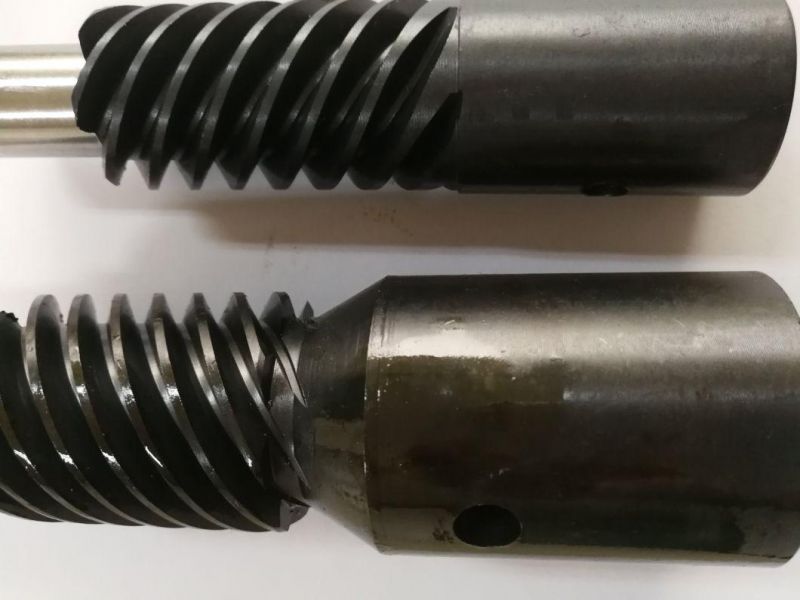 Set Transmission Parts Drive Worm and Worm Gear