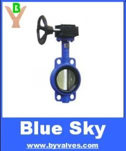 Butterfly Valves