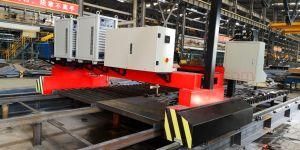 Stable Plasma Cutter Gantry CNC Plasma Flame Cutting Machine