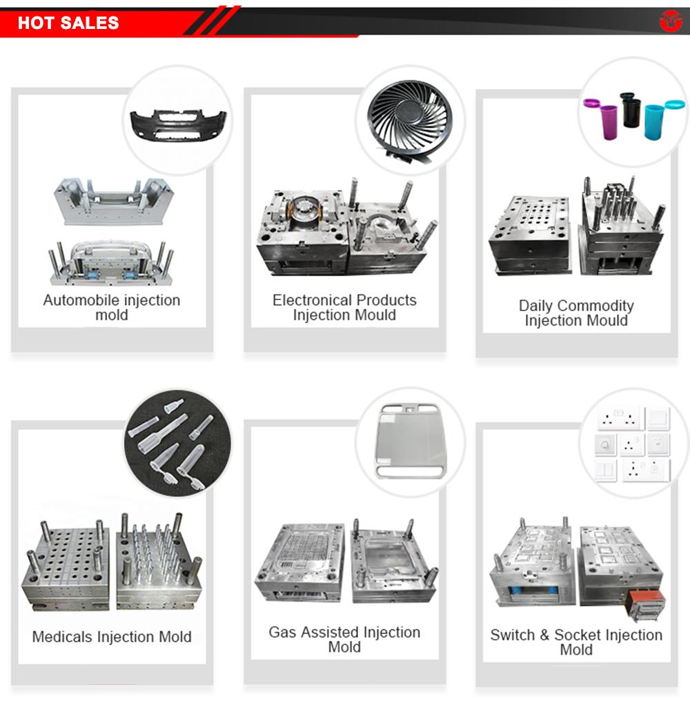 Customized Plastic Injection Mould