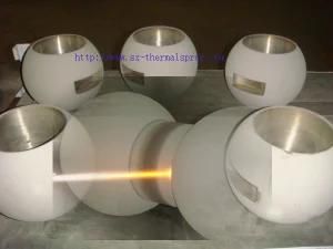 Professional Plasma Coating Equipment in China