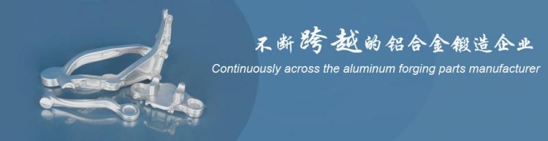 Aluminium Die-Casting Parts for Auto
