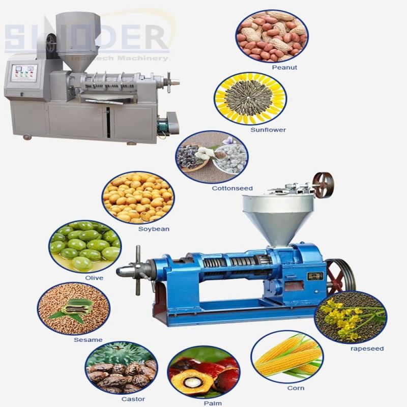 Cold Press for Black Pepper Oil Extracting Machine Coconut Oil Processing Machine