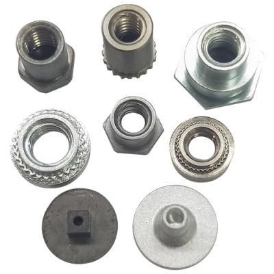 Custom CNC Machining Metal Dental Screws Nuts Bolts1/4 3/8 M2 M3 M4 M5 M6 M8 Aluminum Titanium Parts