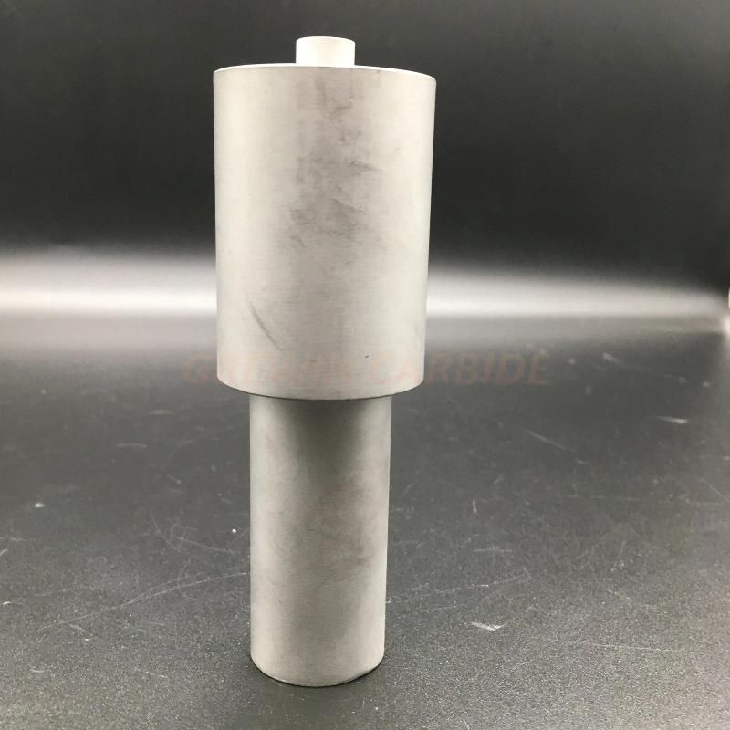 Gw Carbide -Tungsten Carbide Drawing Tools in Customized