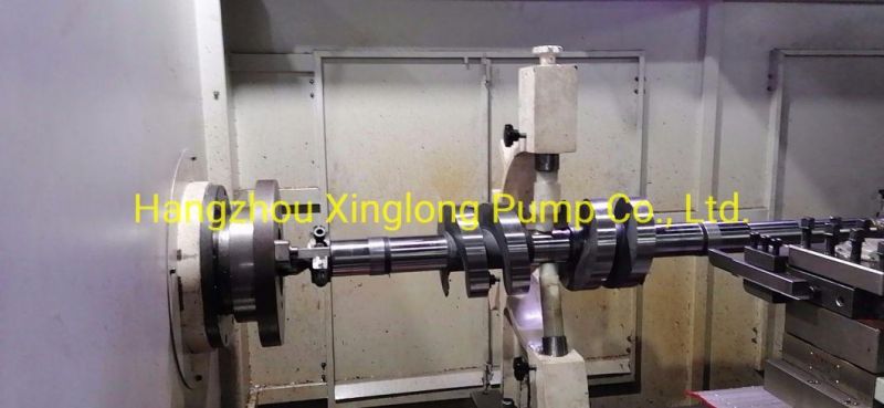 Factory Manufacturing Twin Screw Pump Spindles Screw Shaft Rotors