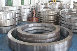 OEM Steel Forging Wntype Flanges