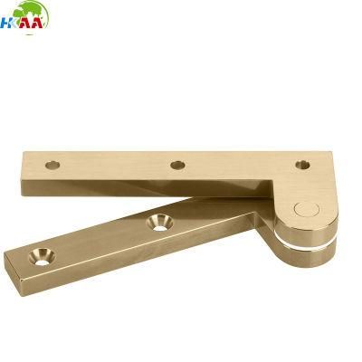 China Dongguan Cusotmized 180 Degree Brass Pivot Hinge Furniture Part