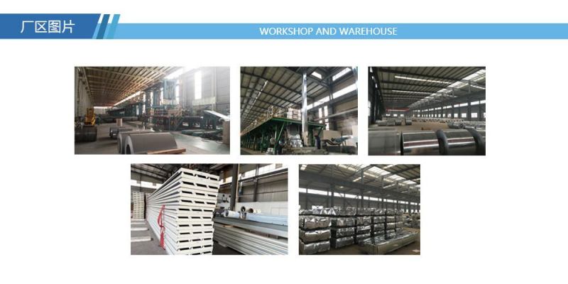 Steel Tile Cold Roll Forming Machine for Export