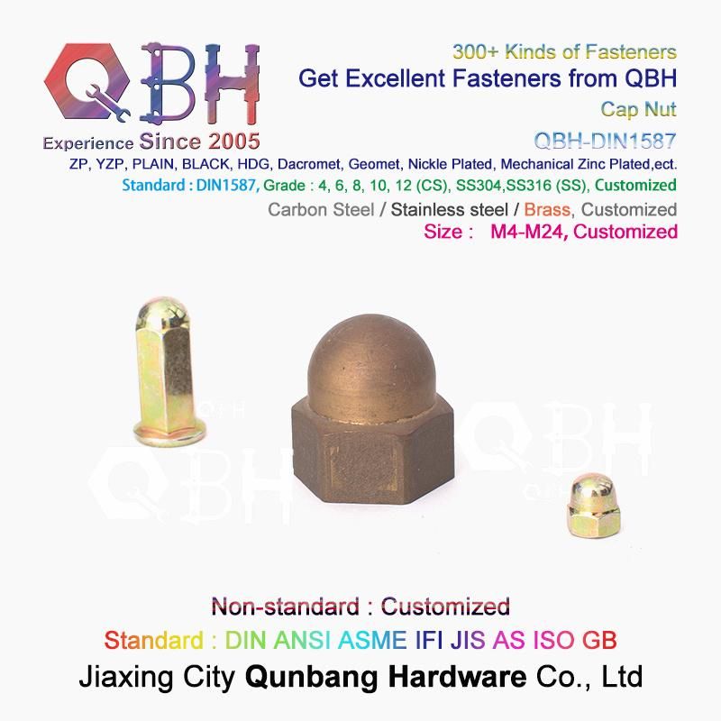Qbh Carbon Steel Stainless Steel Nylon CS Ss DIN1587 DIN986 Hex Protection Domed Cover Cap Acorn Lock Nut Locknut Automobile Car Auto Spare Parts