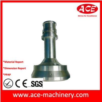 China Supplier Factory SGS Audit Lathing