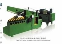 Q43y-315 Low Noise Hydraulic Crocodile-Cutting Machine