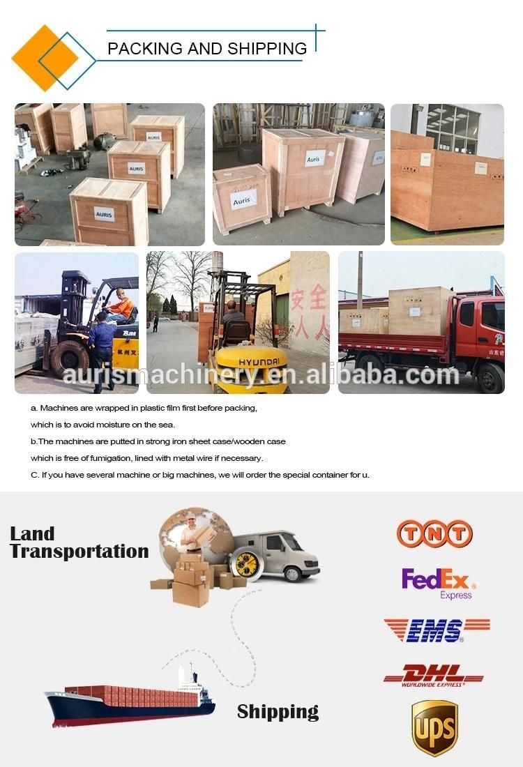Common Iron Nails Manufacturing Machine Manufacturer/Nail Making Machine Price