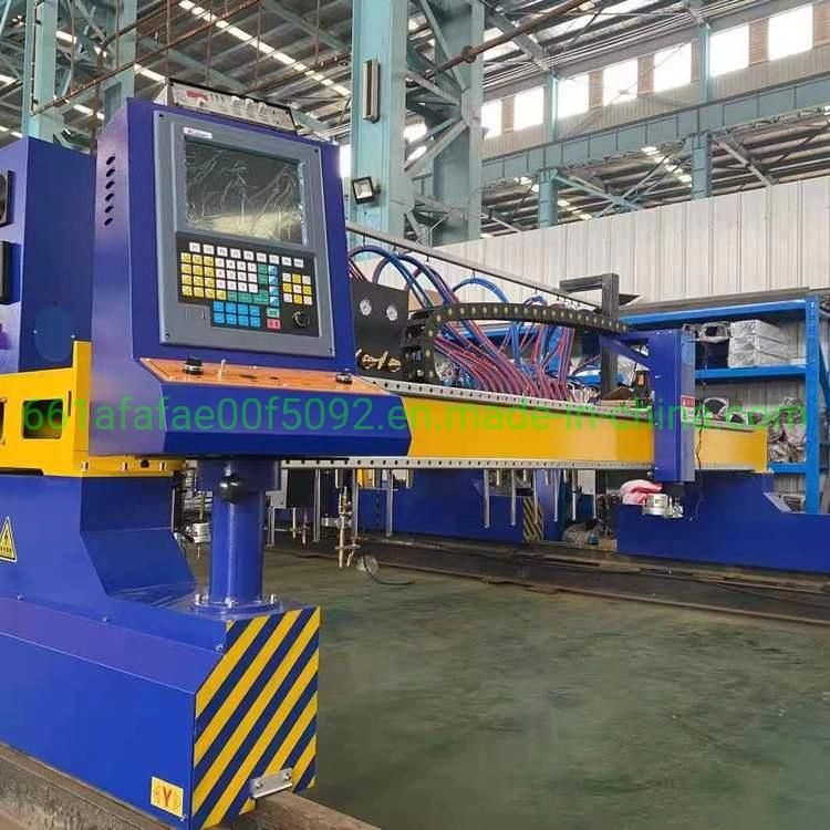 CNC Strip Metal Sheet Flame Oxy Fuel Cutting Machine