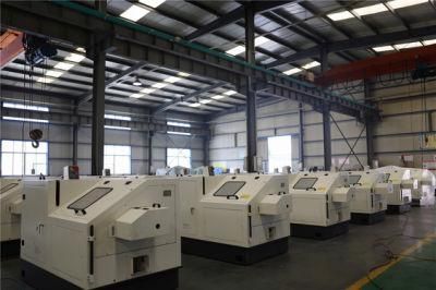 Cold Heading/Forming/Forging Machine for Screw/M5/1d2b
