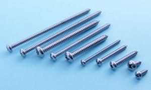 High Precison CNC Machinery Part- Screw