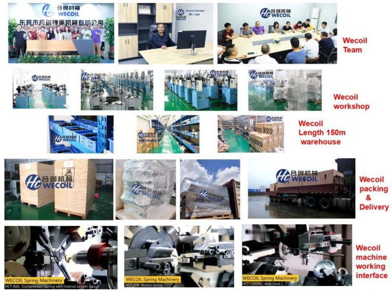WECOIL-HCT-1260WZ Double torsion spring machine