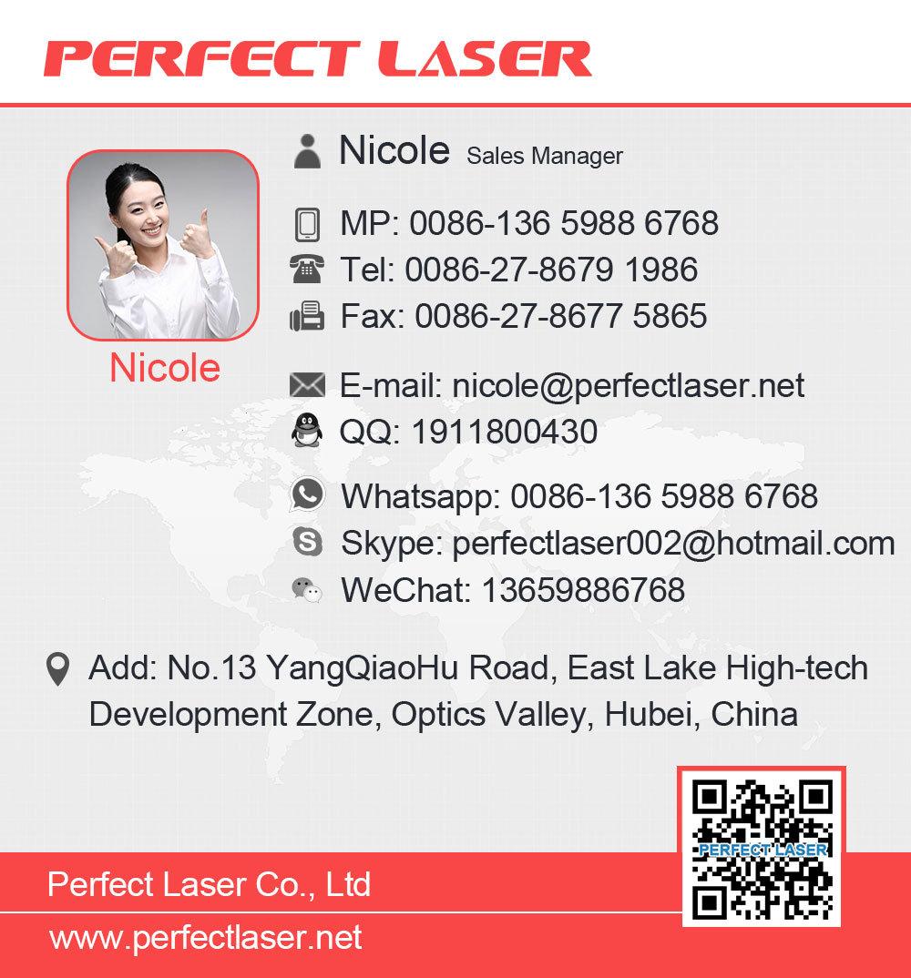 Perfect Laser Handheld CNC DOT Pin Pneumatic Marking Machine for Metal Parts