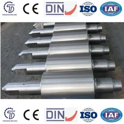 Hot Selling Cast Iron Roll for Hot Rolling Mill/Steel Casting/Casting Machinery/Casting Machine