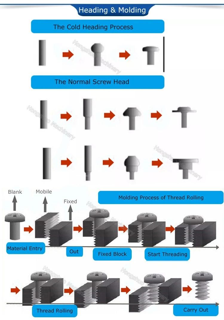 Automatic Cold Heading Forging Machine Bolt Making for Various Size & Type Screws