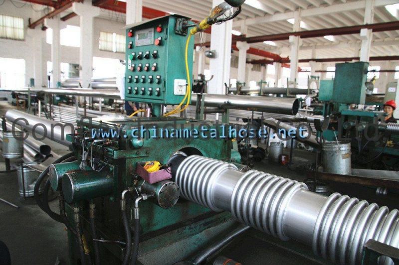 Hot Sell Flexible Metal Hose Hydraulic Hose Forming Machine