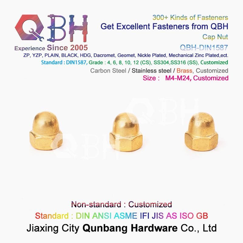 Qbh Carbon Steel Stainless Steel Nylon CS Ss DIN1587 DIN986 Hex Protection Domed Cover Cap Acorn Lock Nut Locknut Automobile Car Auto Spare Parts