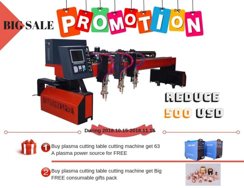 Sales Promotion Price Small Gantry CNC Plasma Cutting Equipment