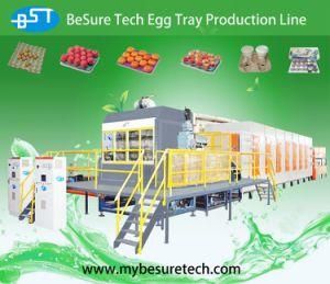 Egg Tray Making Machine (ET1200)