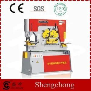 Goo Quality Hydraulic Punch Press for Sale
